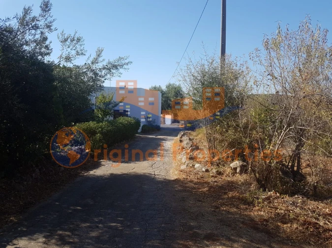 Terreno para Venda em Salir Foto 5