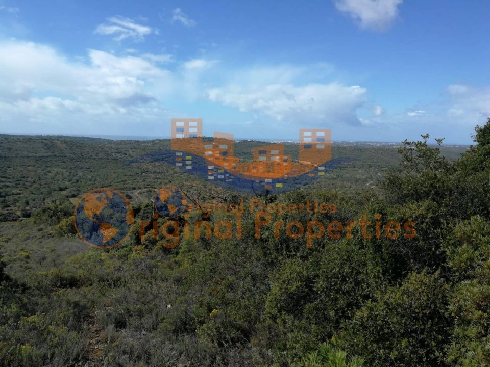 Terreno para Venda em Paderne Foto 5