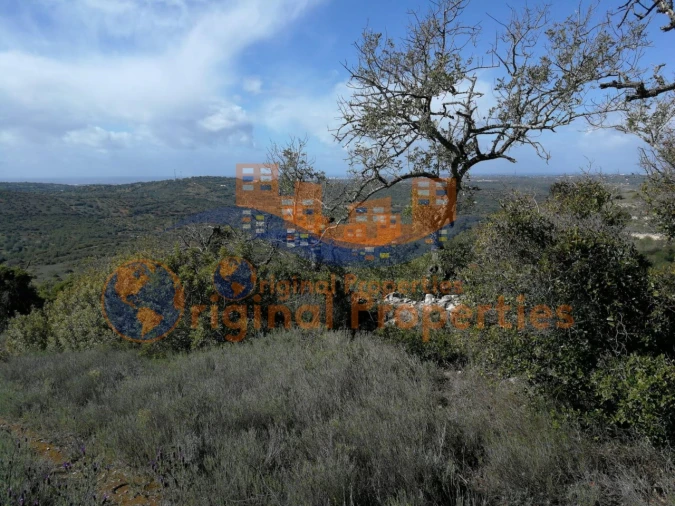 Terreno para Venda em Paderne Foto 8