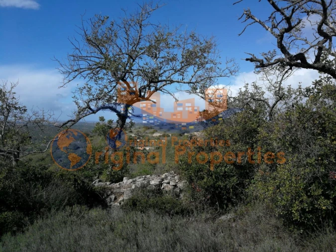 Terreno para Venda em Paderne Foto 9