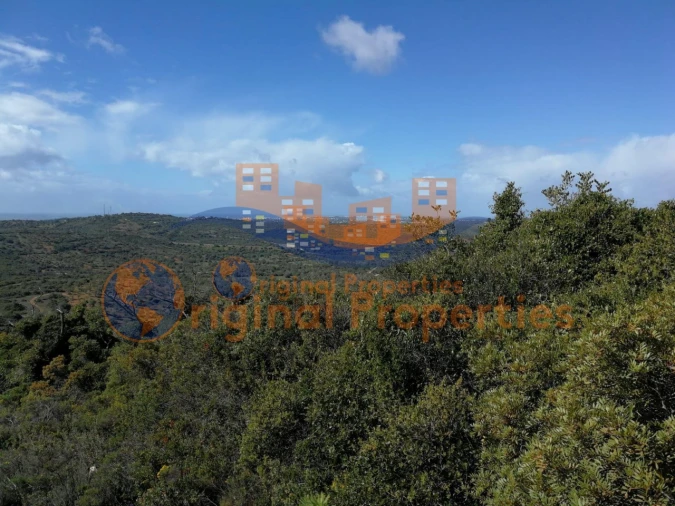 Terreno para Venda em Paderne Foto 10