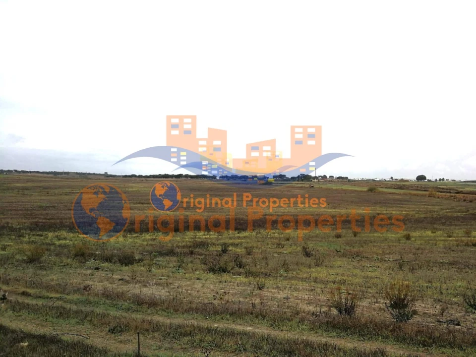 Terreno para Venda em Figueira dos Cavaleiros Foto 1