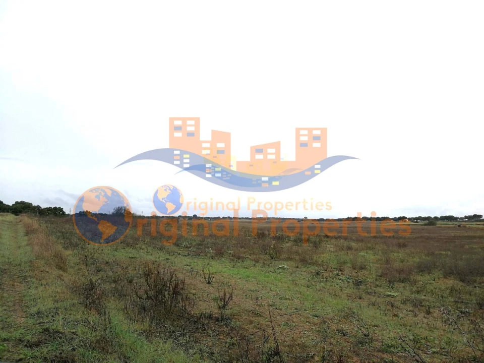 Terreno para Venda em Figueira dos Cavaleiros Foto 3