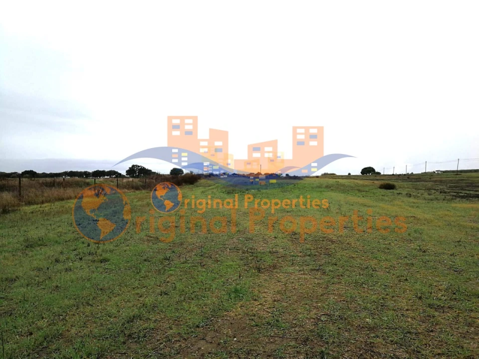 Terreno para Venda em Figueira dos Cavaleiros Foto 4
