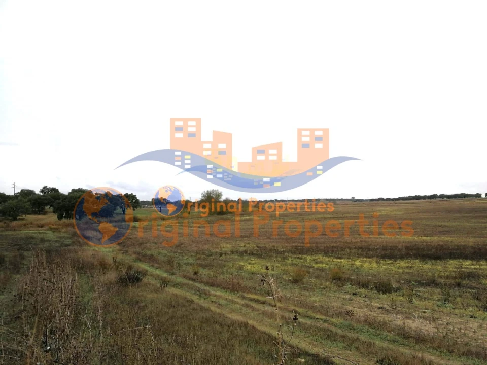 Terreno para Venda em Figueira dos Cavaleiros Foto 6