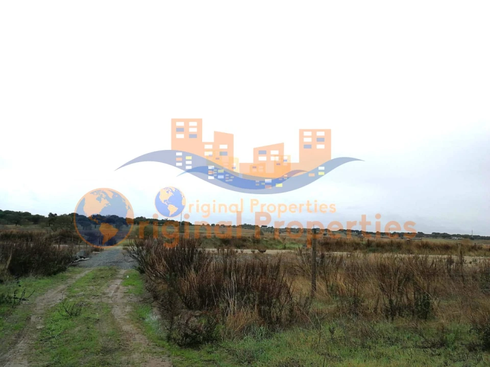 Terreno para Venda em Figueira dos Cavaleiros Foto 7