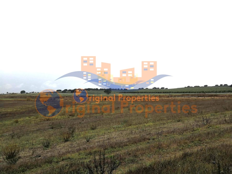 Terreno para Venda em Figueira dos Cavaleiros Foto 8