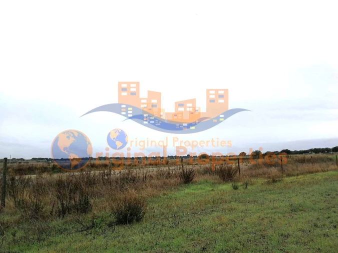 Terreno para Venda em Figueira dos Cavaleiros Foto 5