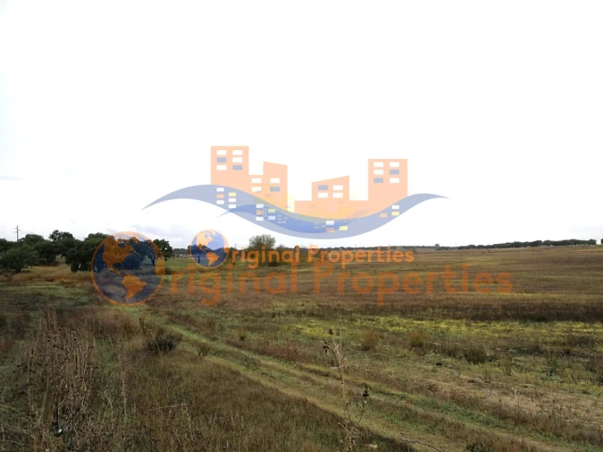 Terreno para Venda em Figueira dos Cavaleiros Foto 6