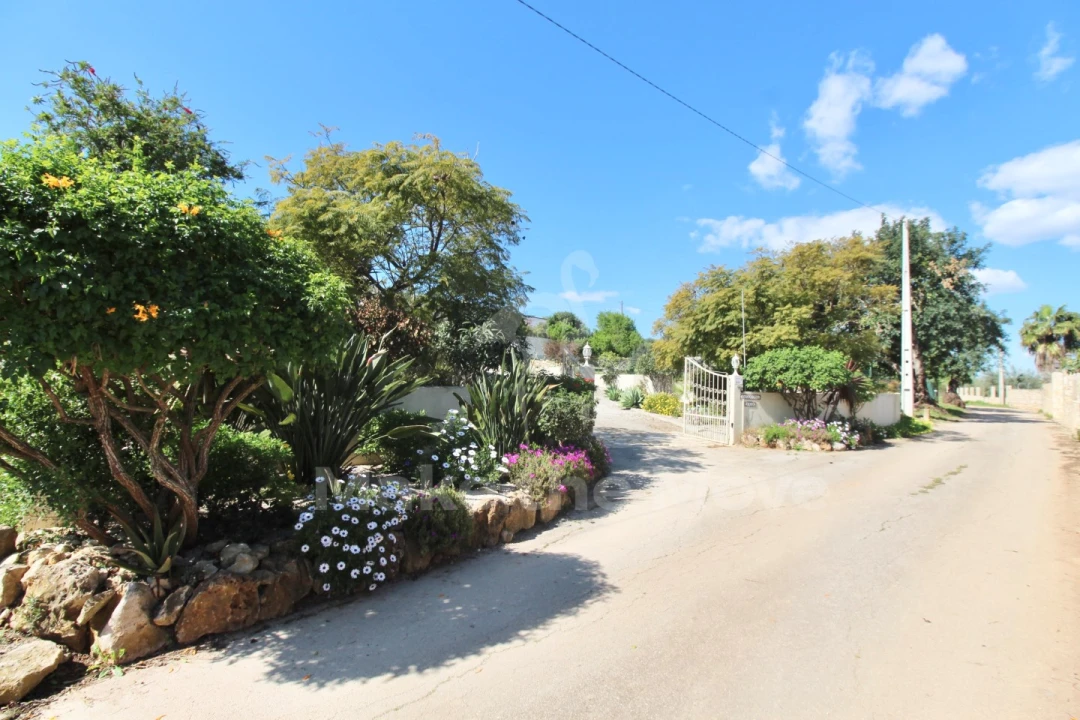 Moradia T3 para Venda em Pechão Foto 34