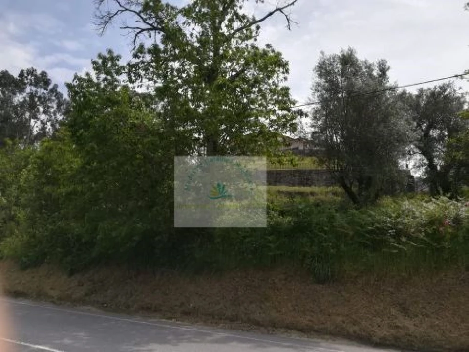 Terreno para Venda em Bravães Foto 6