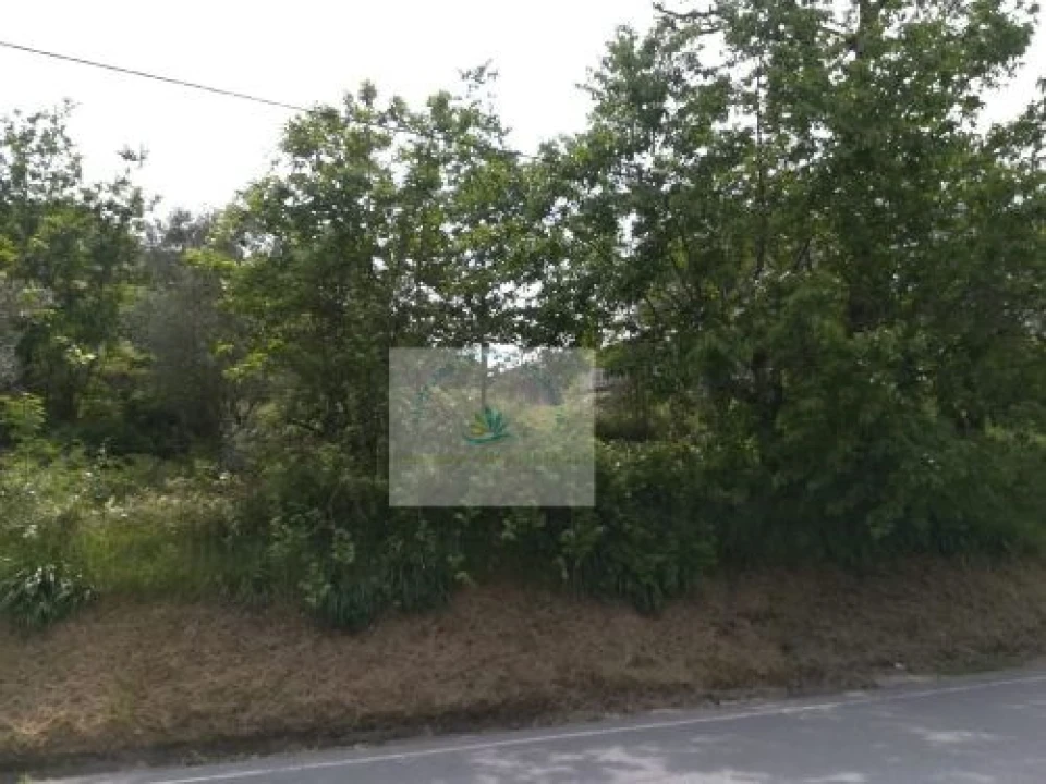 Terreno para Venda em Bravães Foto 3