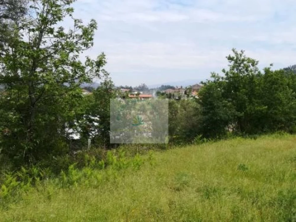 Terreno para Venda em Bravães Foto 4