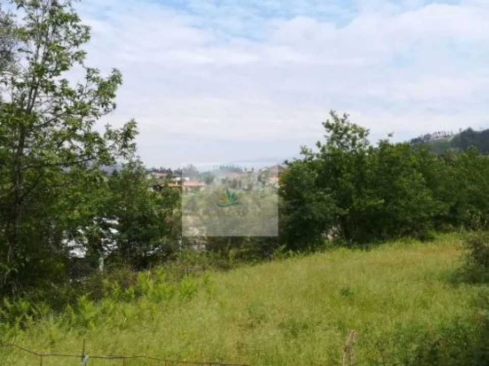 Terreno para Venda em Bravães Foto 8