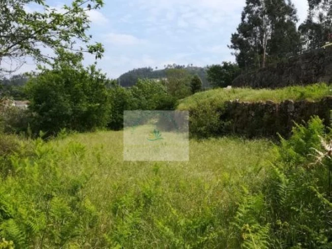 Terreno para Venda em Bravães Foto 2
