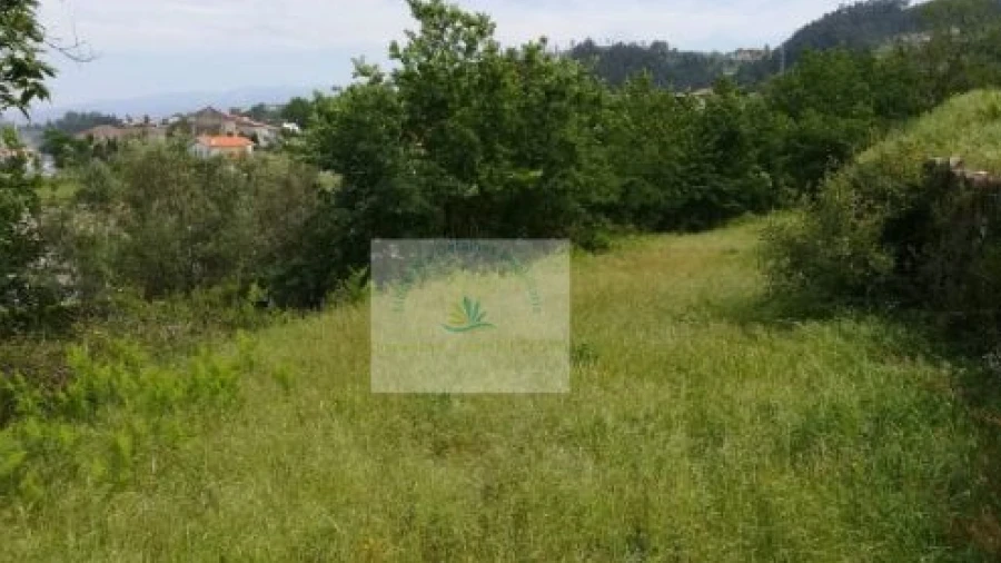 Terreno para Venda em Bravães