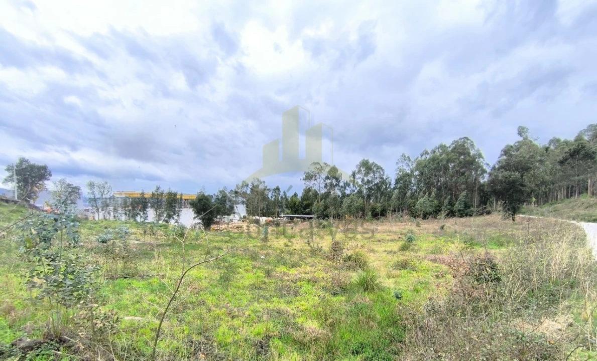 Terreno para Venda em Cardielos e Serreleis Foto 4
