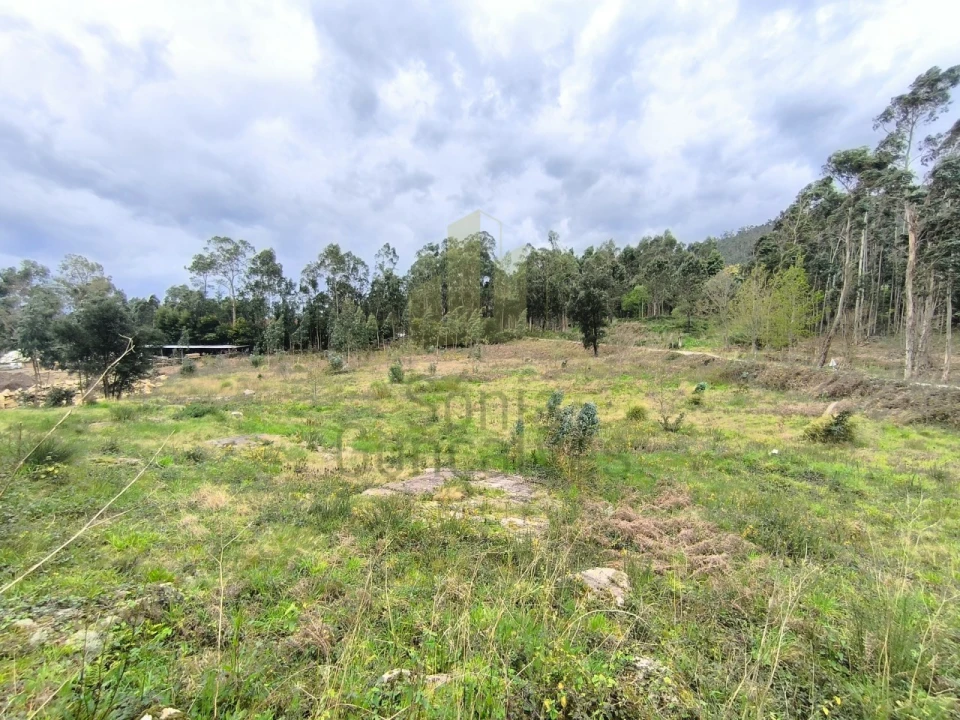 Terreno para Venda em Cardielos e Serreleis Foto 5