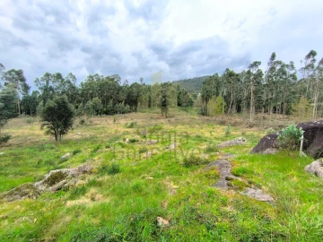 Terreno para Venda em Cardielos e Serreleis