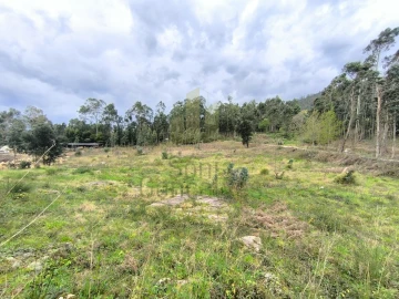 Terreno para Venda em Cardielos e Serreleis