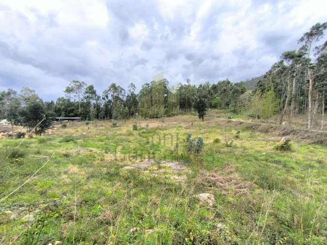 Terreno para Venda em Cardielos e Serreleis Foto 5