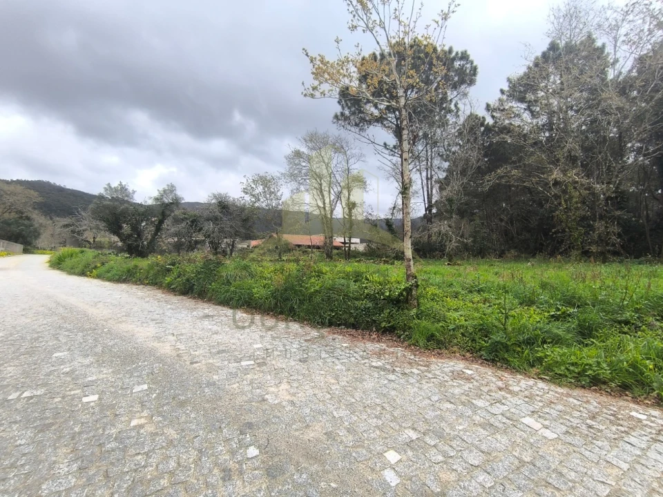 Terreno para Venda em Afife Foto 8