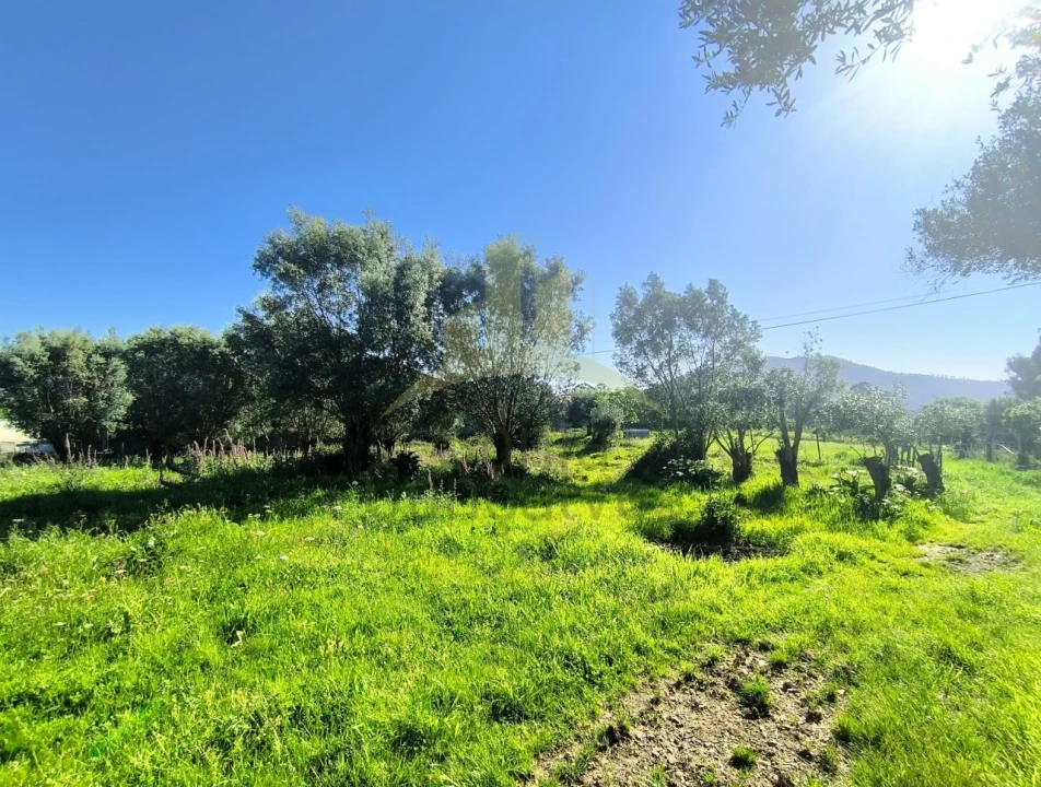 Terreno para Venda em Torre e Vila Mou Foto 1