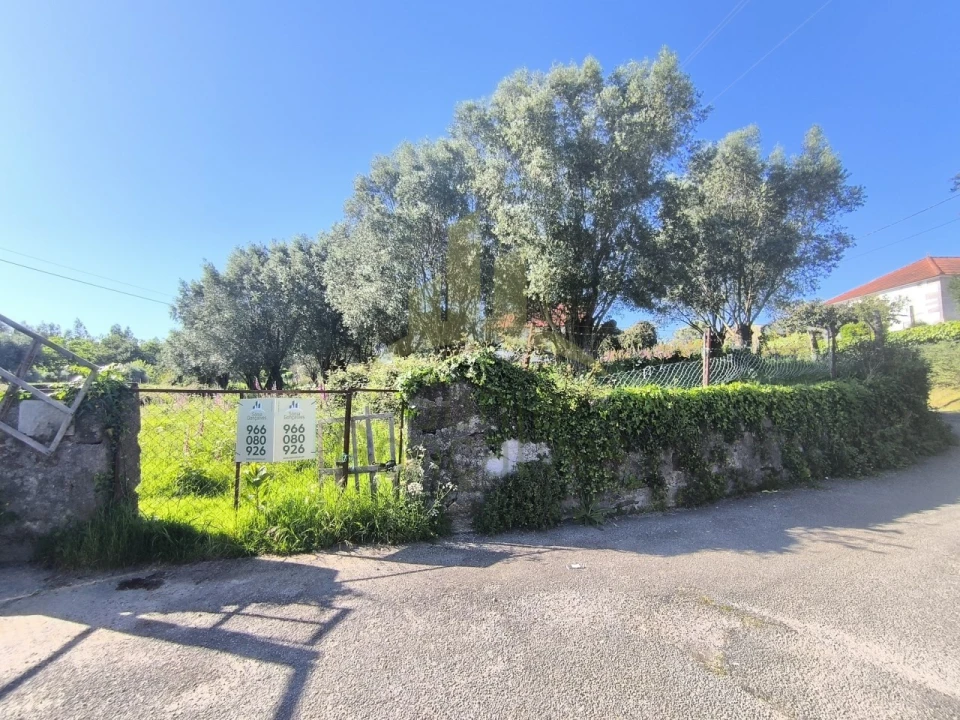 Terreno para Venda em Torre e Vila Mou Foto 2