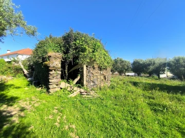 Terreno para Venda em Torre e Vila Mou