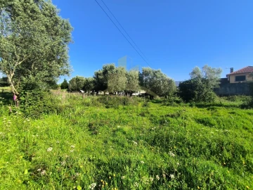 Terreno para Venda em Torre e Vila Mou