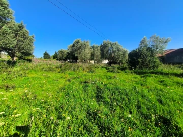 Terreno para Venda em Torre e Vila Mou