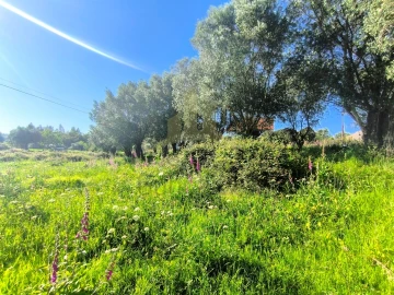 Terreno para Venda em Torre e Vila Mou