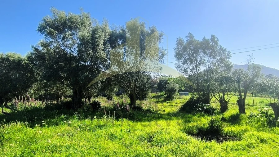 Terreno para Venda em Torre e Vila Mou
