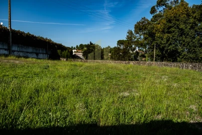 Terreno para Venda em Cardielos e Serreleis