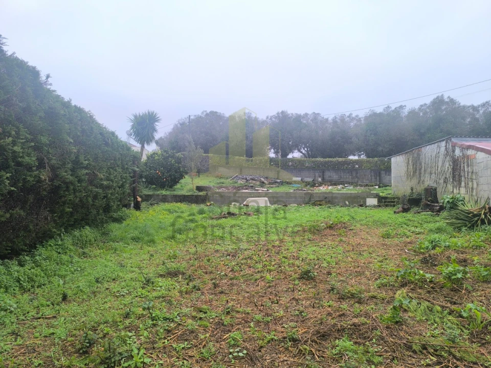 Terreno para Venda em Santa Marta de Portuzelo Foto 9