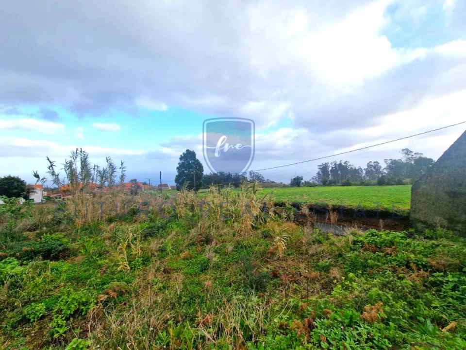 Terreno para Venda em Porto Moniz Foto 7