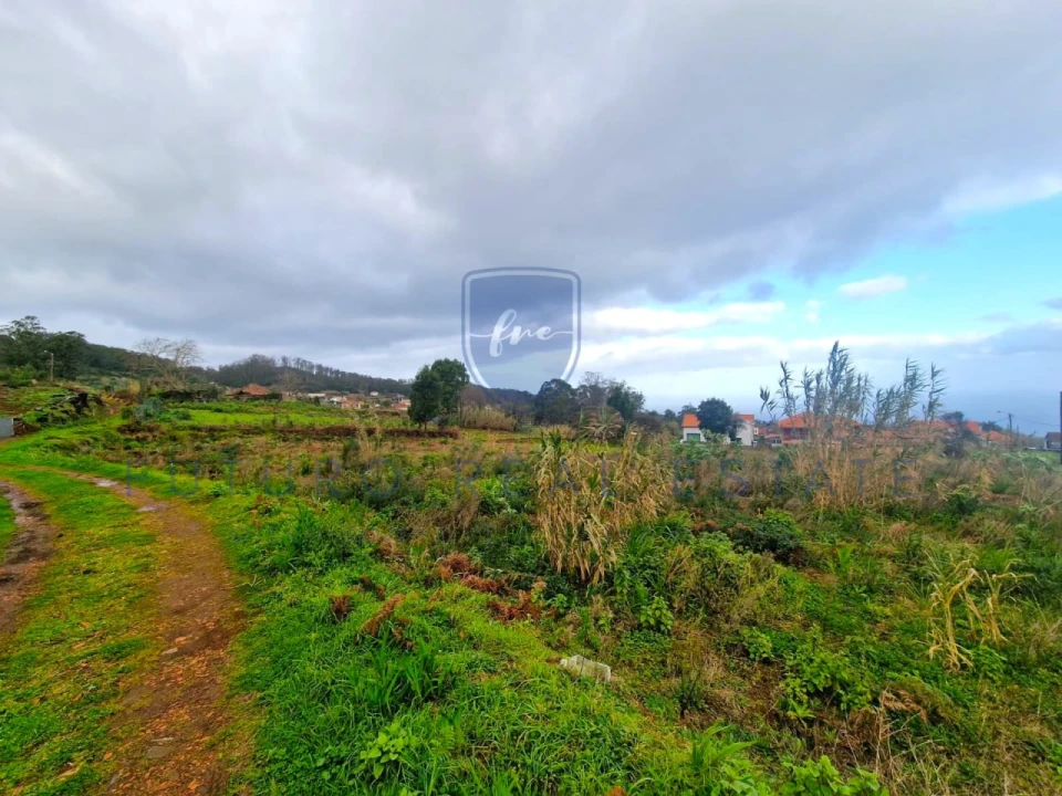 Terreno para Venda em Porto Moniz Foto 8