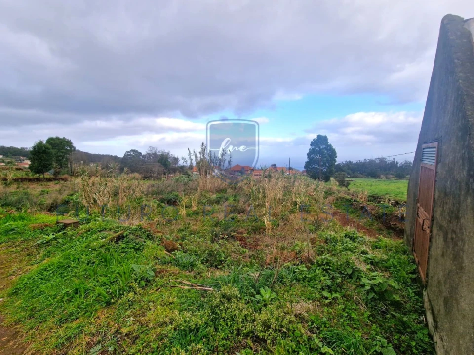 Terreno para Venda em Porto Moniz Foto 11