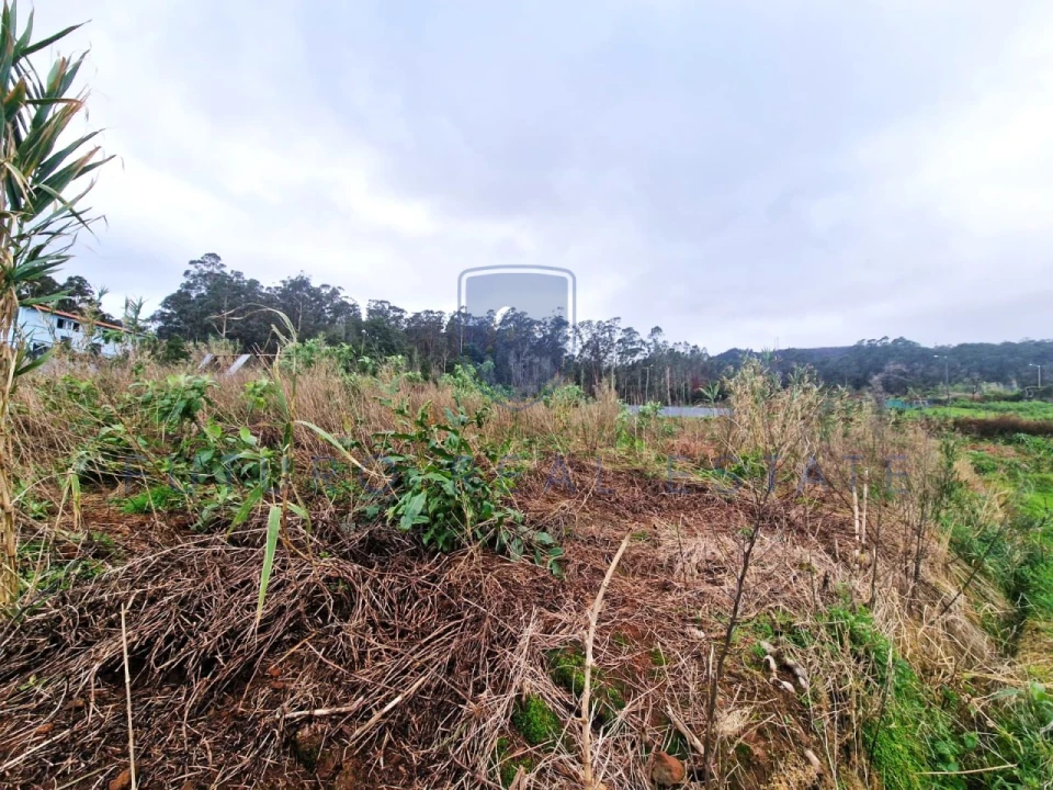 Terreno para Venda em Porto Moniz Foto 14