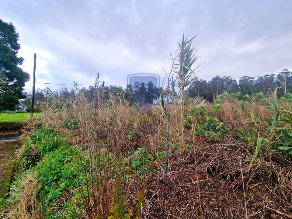 Terreno para Venda em Porto Moniz Foto 15