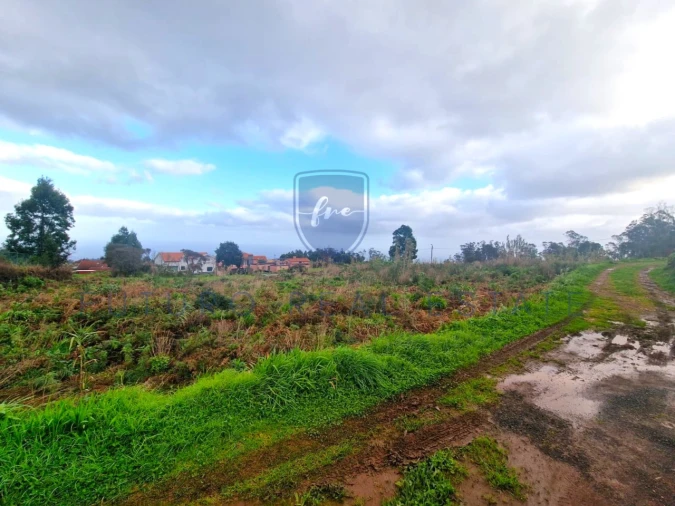 Terreno para Venda em Porto Moniz Foto 6
