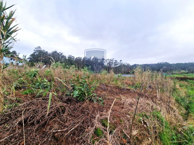 Terreno para Venda em Porto Moniz Foto 14