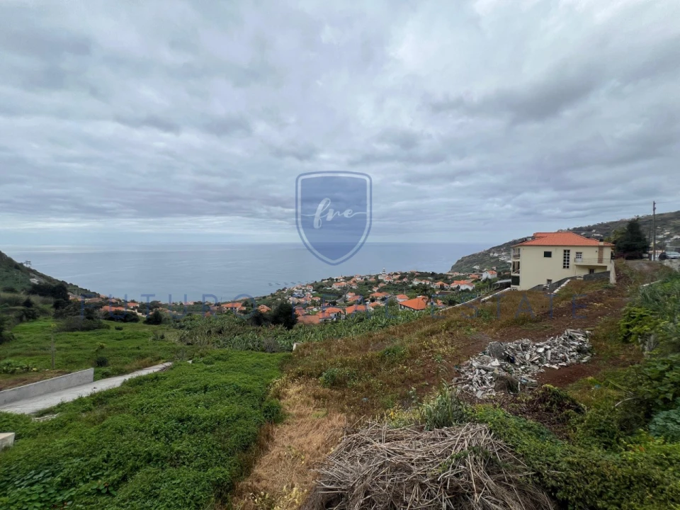 Terreno para Venda em Arco da Calheta Foto 3