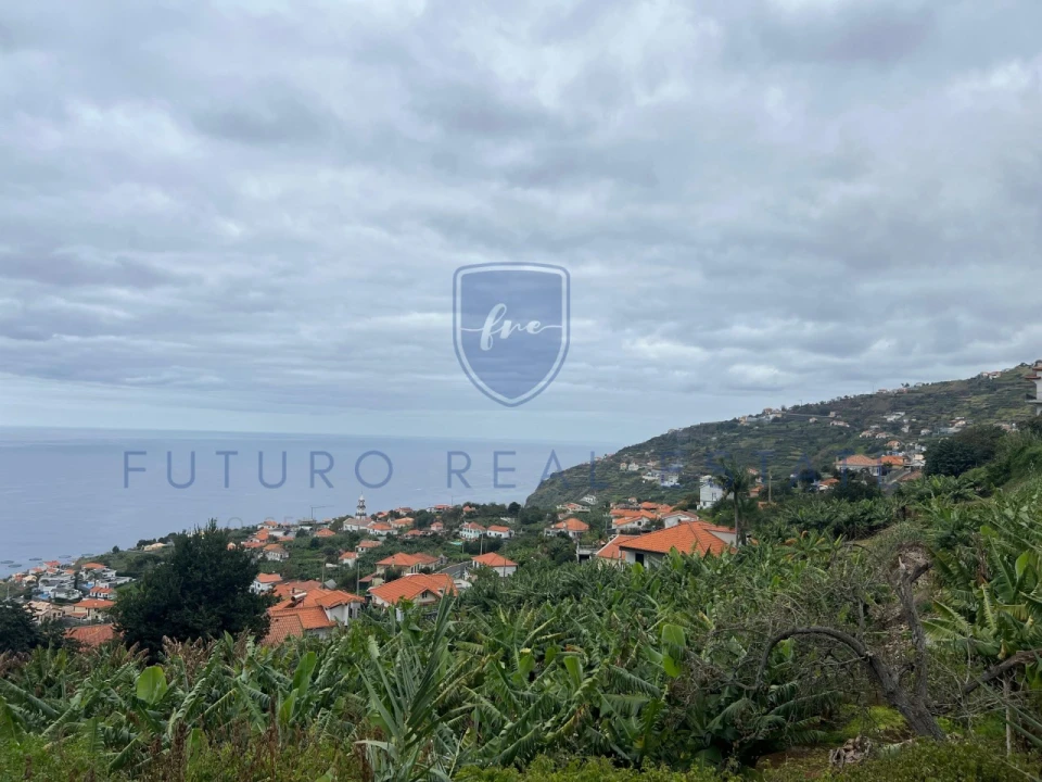 Terreno para Venda em Arco da Calheta Foto 6