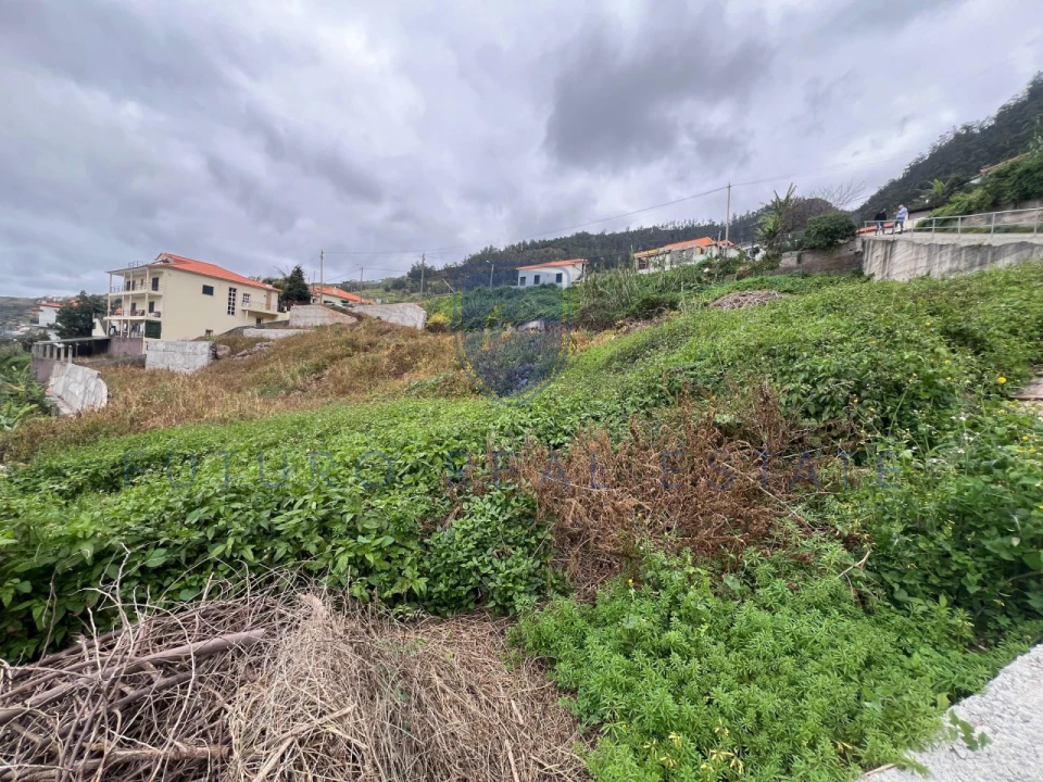 Terreno para Venda em Arco da Calheta Foto 10
