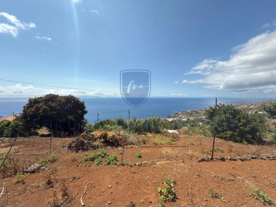 Terreno para Venda em Santa Cruz Foto 3