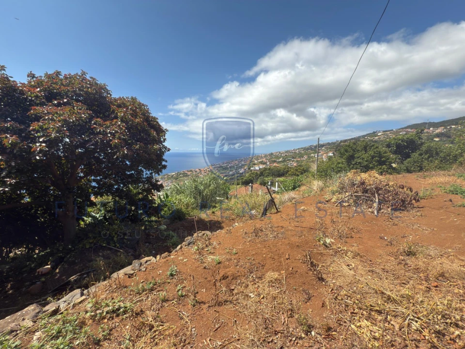 Terreno para Venda em Santa Cruz Foto 11