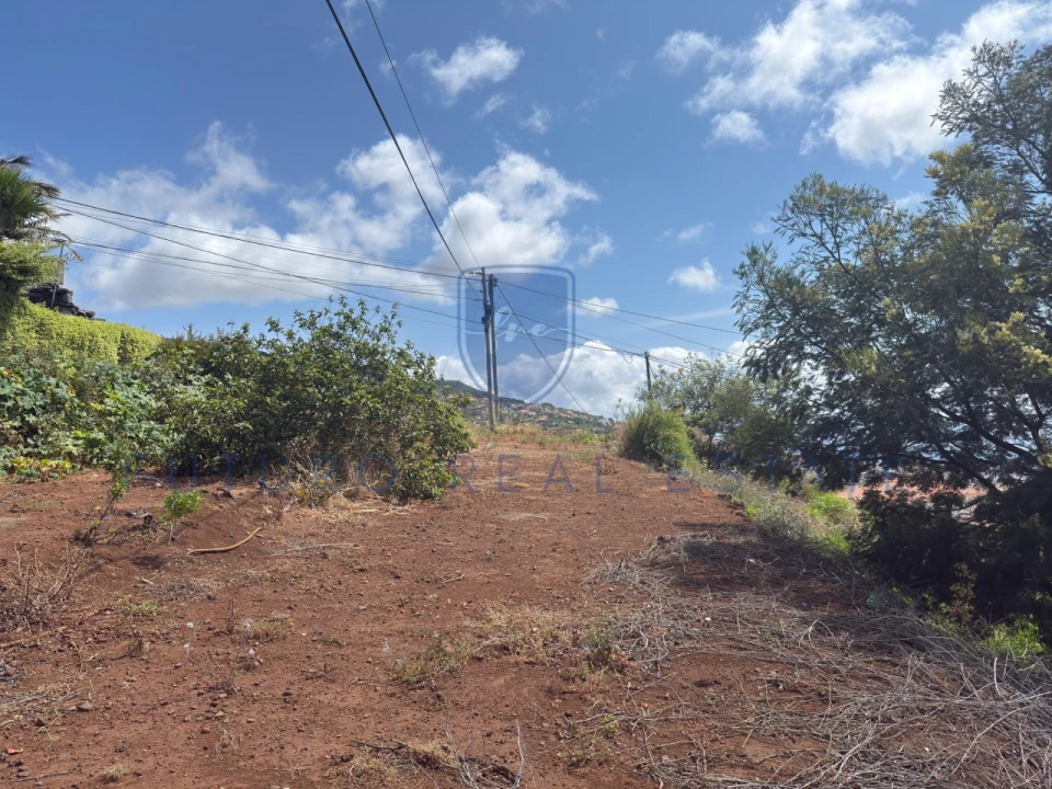 Terreno para Venda em Santa Cruz Foto 24