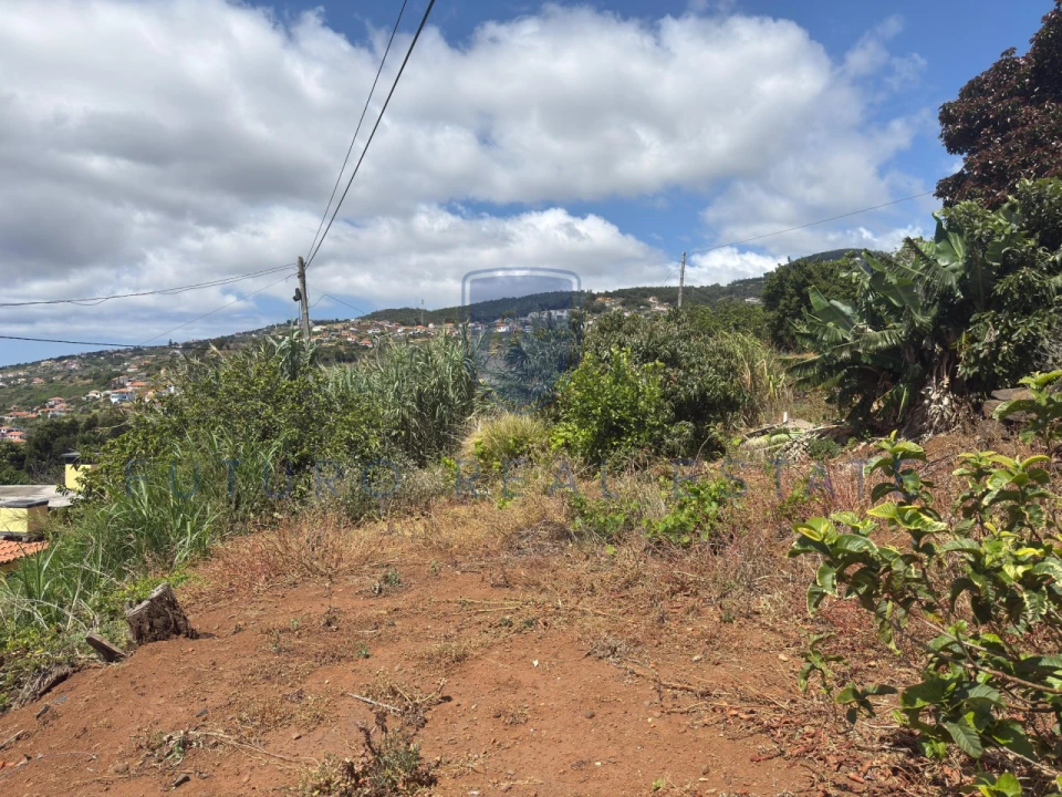 Terreno para Venda em Santa Cruz Foto 25