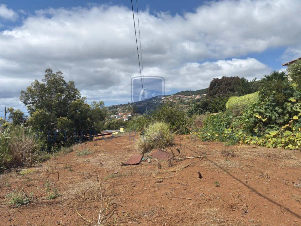 Terreno para Venda em Santa Cruz Foto 29